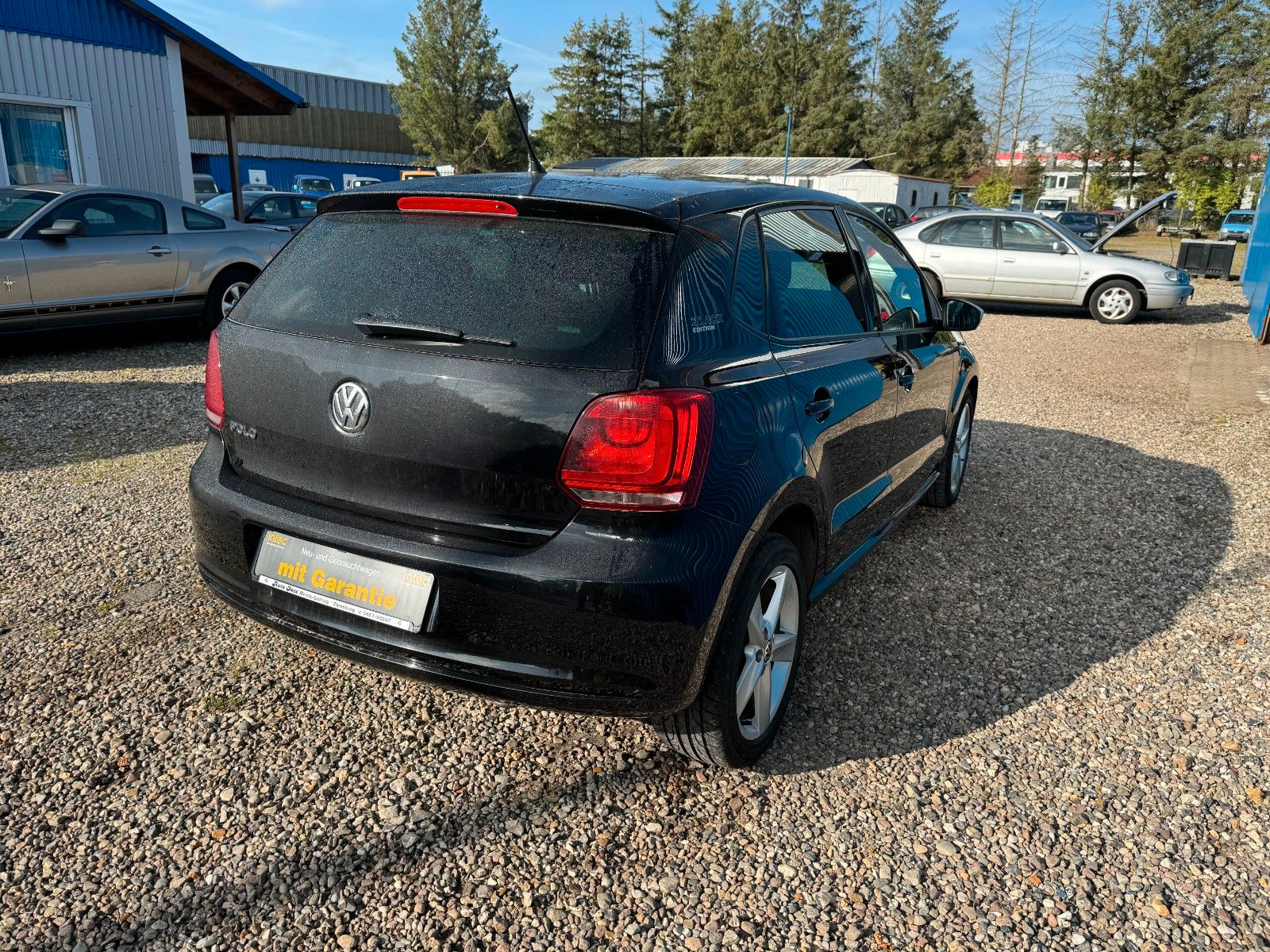 Fahrzeugabbildung Volkswagen Polo V **Black Edition**SHZ**Klima**