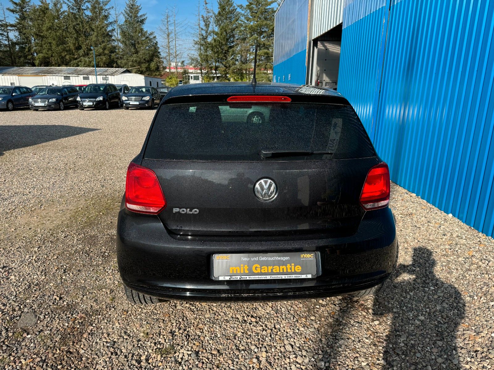 Fahrzeugabbildung Volkswagen Polo V **Black Edition**SHZ**Klima**