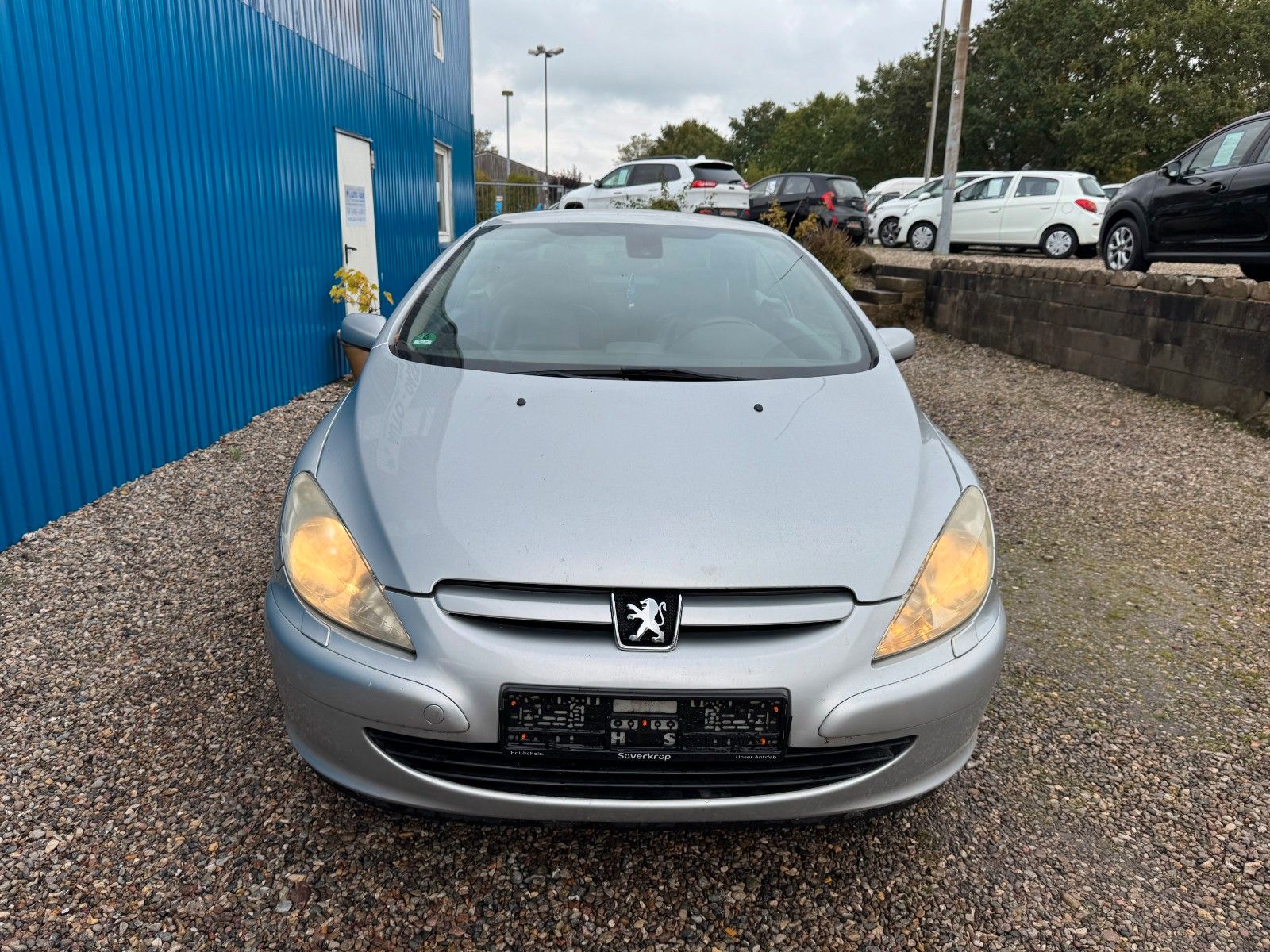 Fahrzeugabbildung Peugeot 307 CC Cabrio-Coupe Filou 110