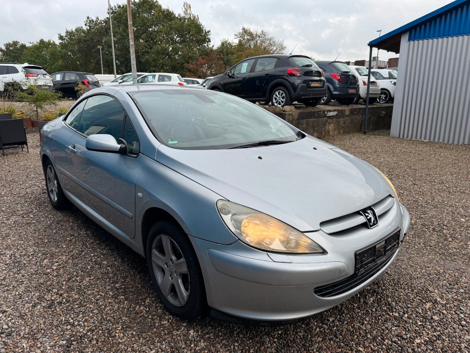 Fahrzeugabbildung Peugeot 307 CC Cabrio-Coupe Filou 110
