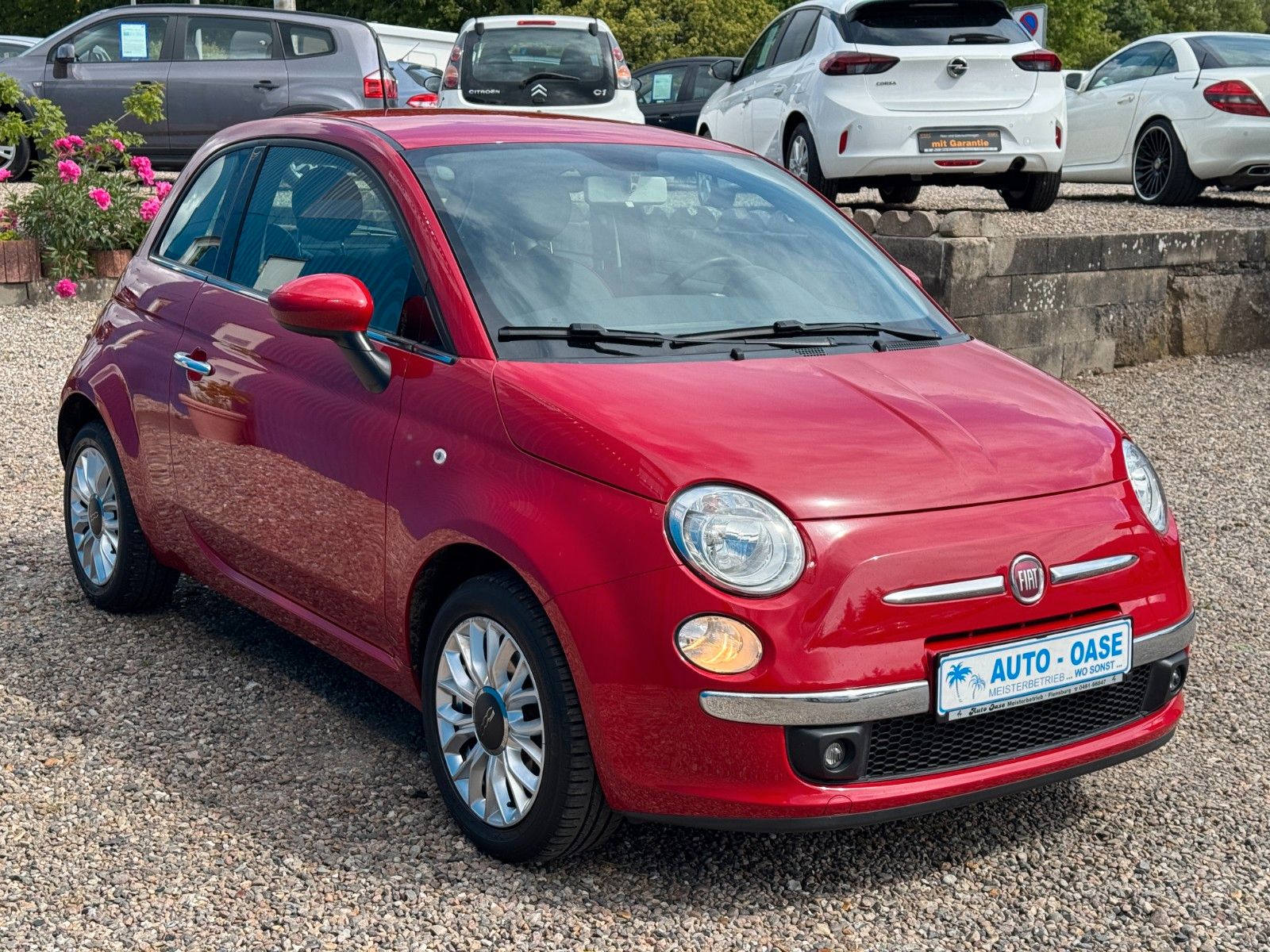 Fahrzeugabbildung Fiat 500**Lounge**79 TKM**Klima**