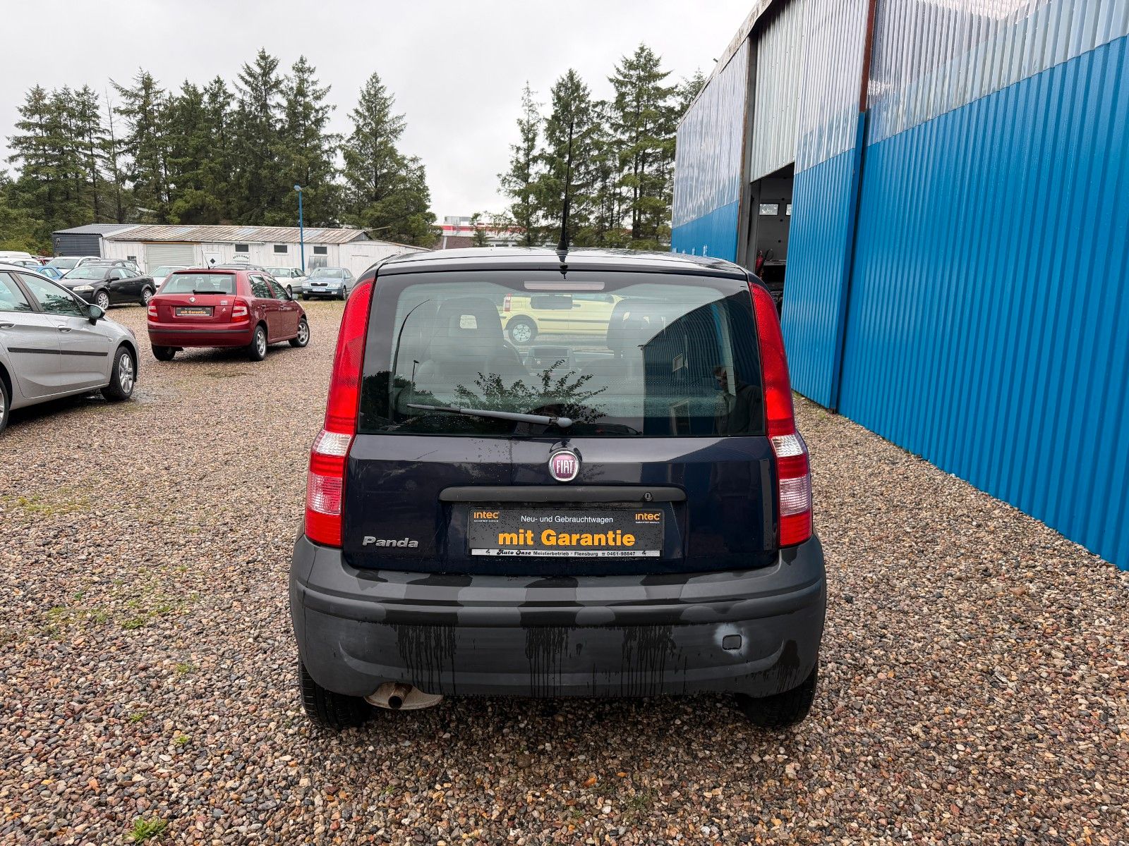 Fahrzeugabbildung Fiat Panda 1.1 8V Active**Allwetter*HU&AU neu**