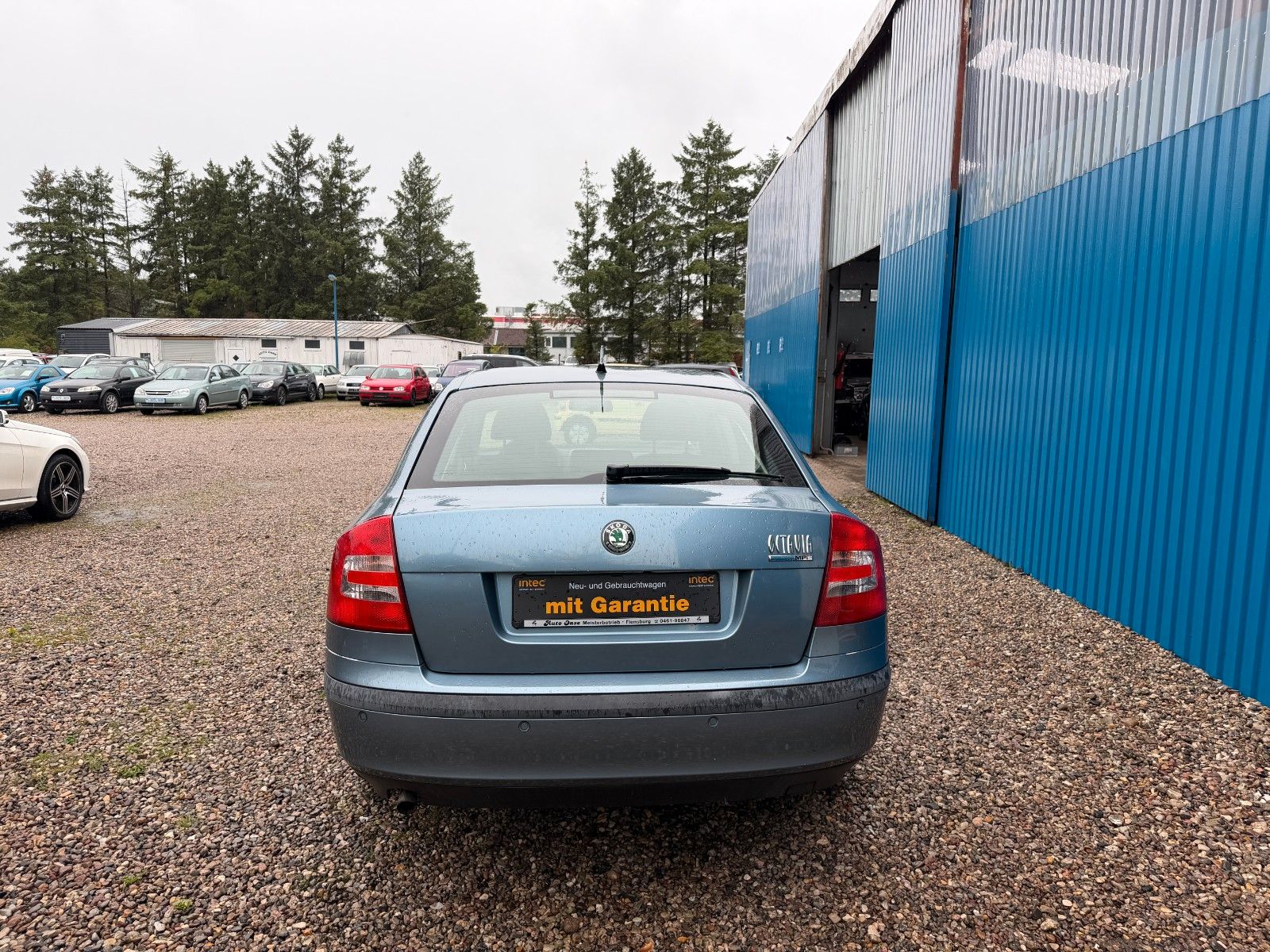 Fahrzeugabbildung SKODA Octavia Lim.**Ambiente**Klima**HU 03/28**