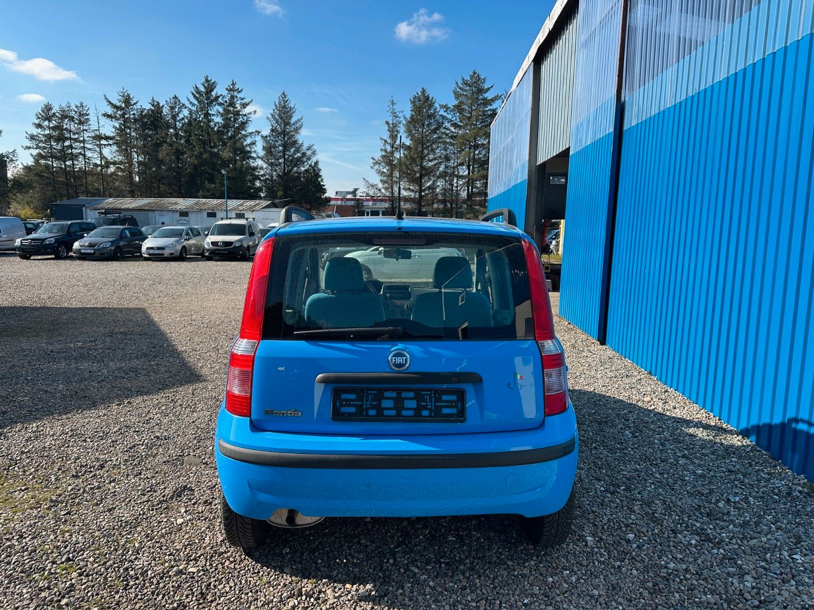 Fahrzeugabbildung Fiat Panda 1.2 8V Dynamic**Schiebedach**