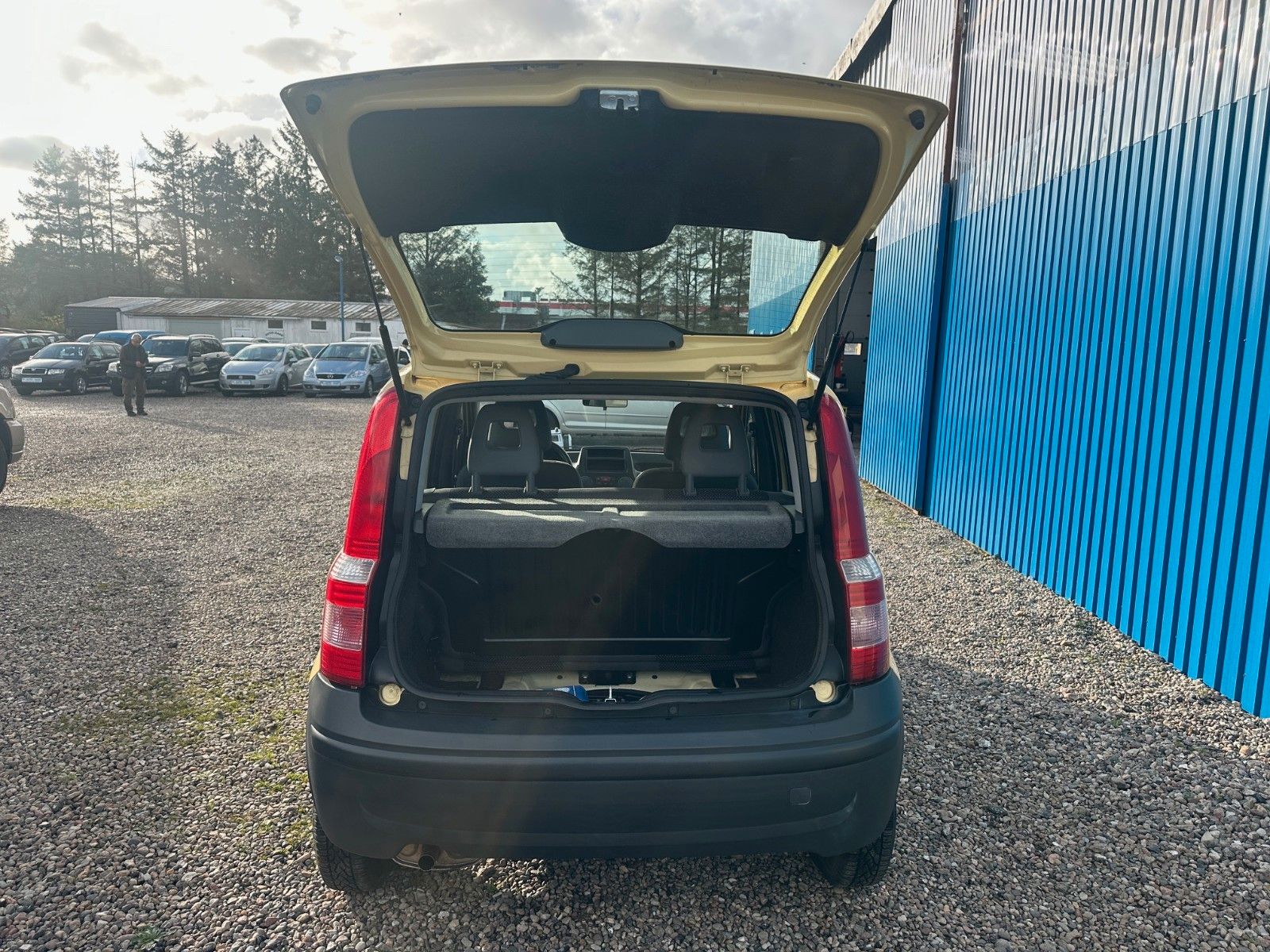 Fahrzeugabbildung Fiat Panda 1.1 8V Active**39 TKM*Allwetterreifen**