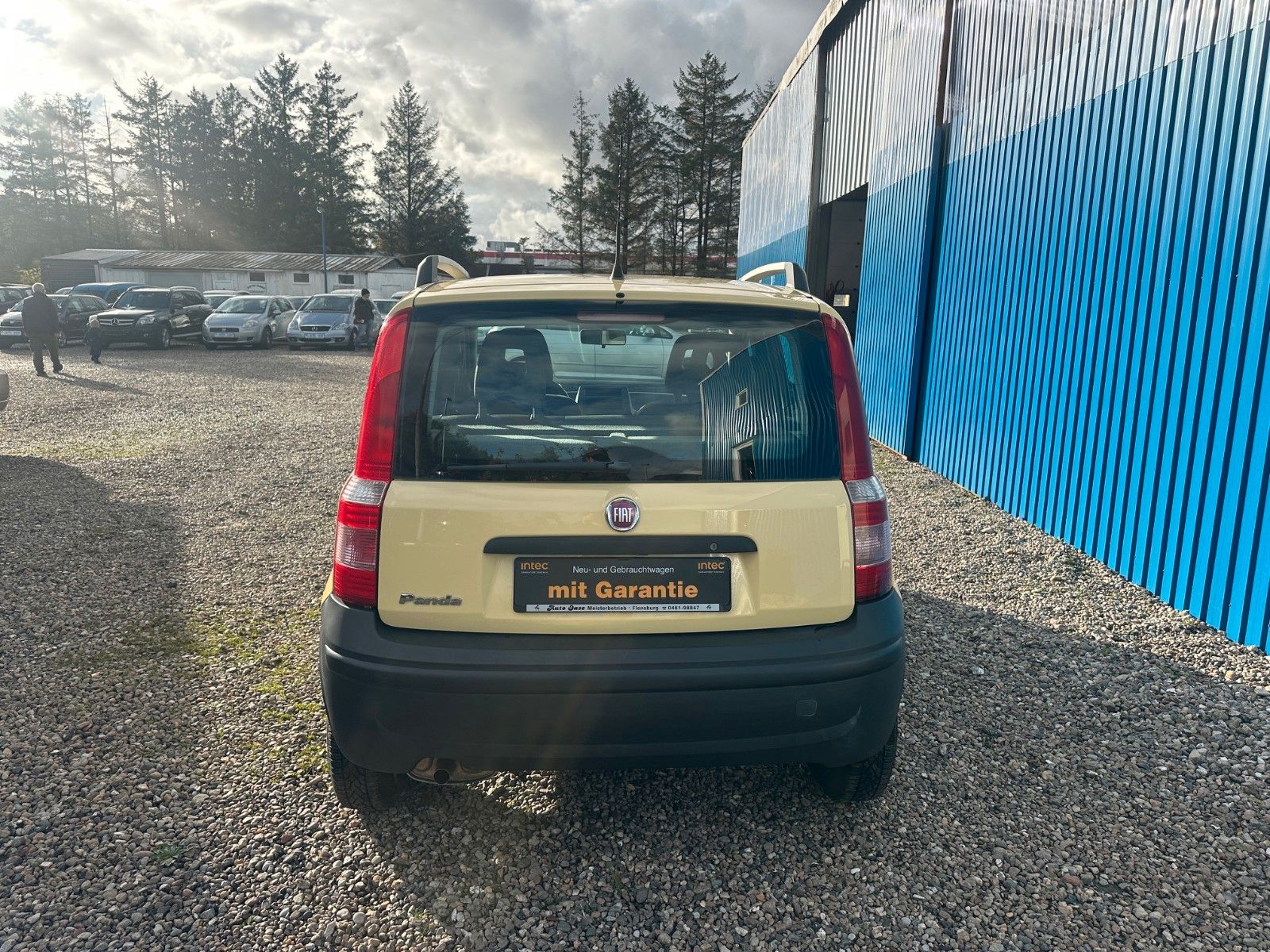 Fahrzeugabbildung Fiat Panda 1.1 8V Active**39 TKM*Allwetterreifen**