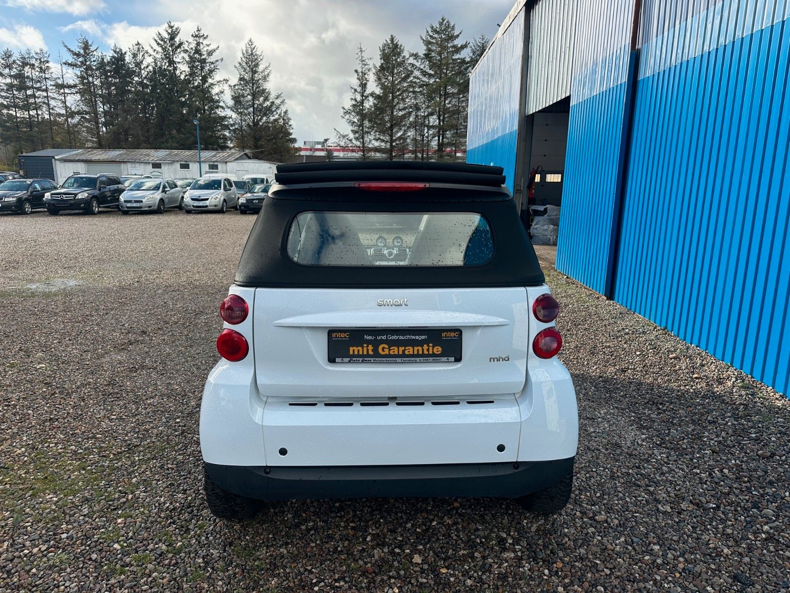 Fahrzeugabbildung Smart ForTwo fortwo cabrio Micro Hybrid Drive