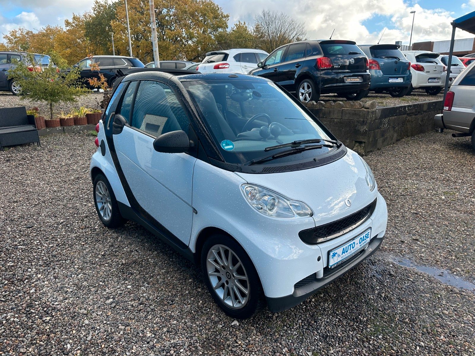 Fahrzeugabbildung Smart ForTwo fortwo cabrio Micro Hybrid Drive