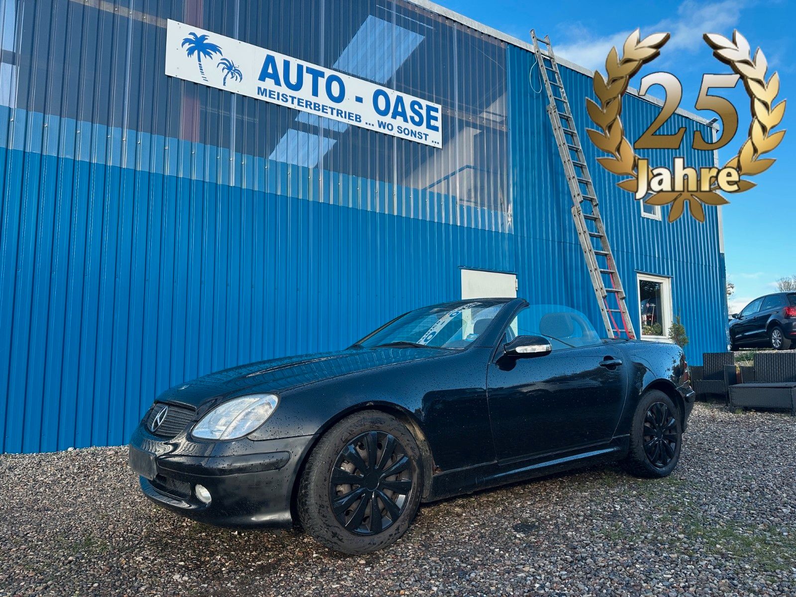 Fahrzeugabbildung Mercedes-Benz SLK 230 Kompressor