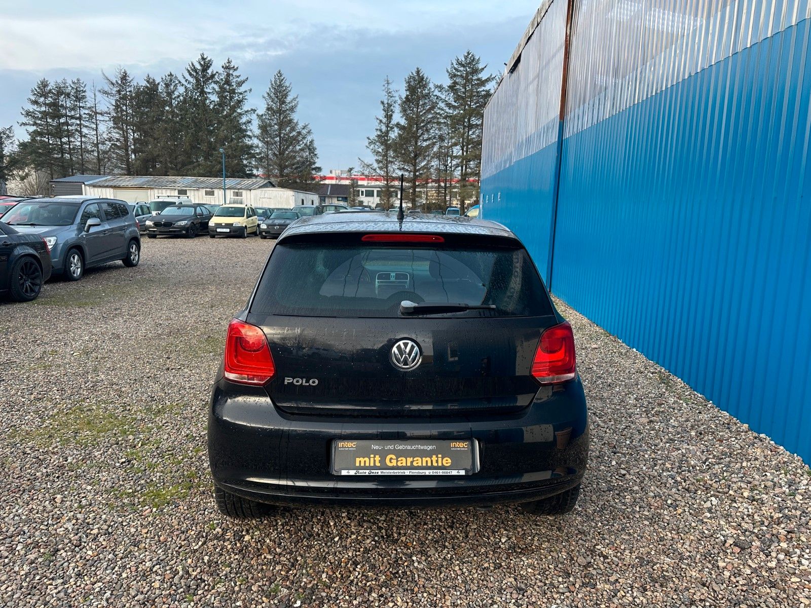 Fahrzeugabbildung Volkswagen Polo V **Black Edition**SHZ**Klima**