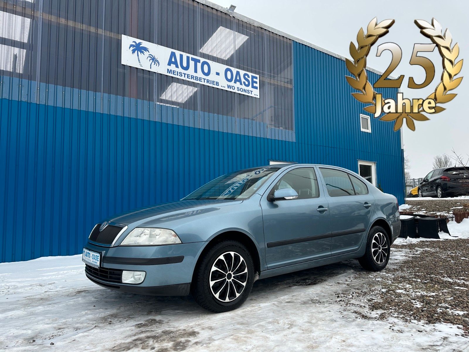 Fahrzeugabbildung SKODA Octavia Lim.**Ambiente**Klima**HU 03/28**