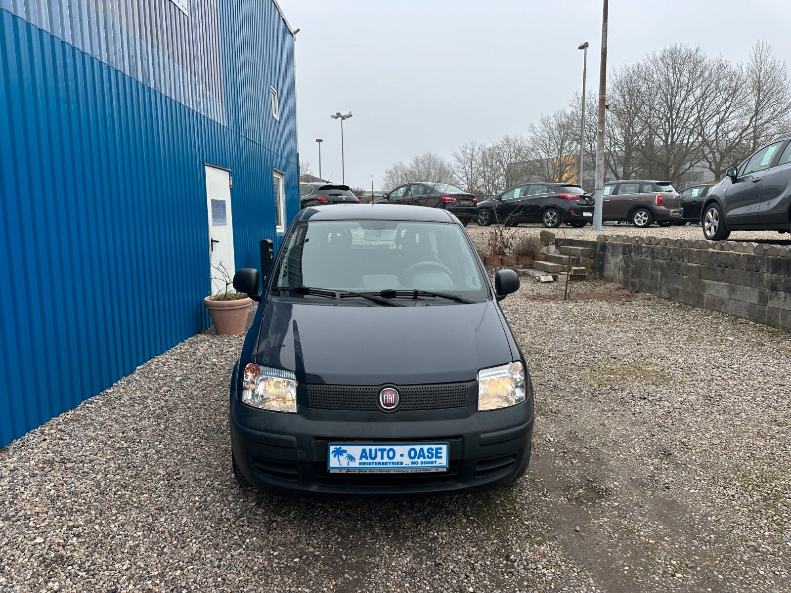 Fahrzeugabbildung Fiat Panda 1.1 8V Active**Allwetter*HU&AU neu**