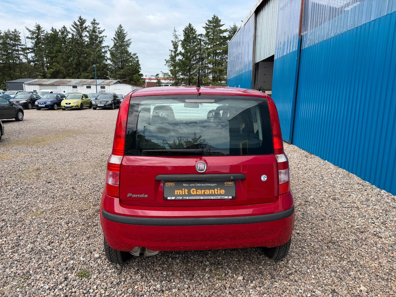Fahrzeugabbildung Fiat Panda 1.2 8V Dynamic**Allwetter*98 TKM**