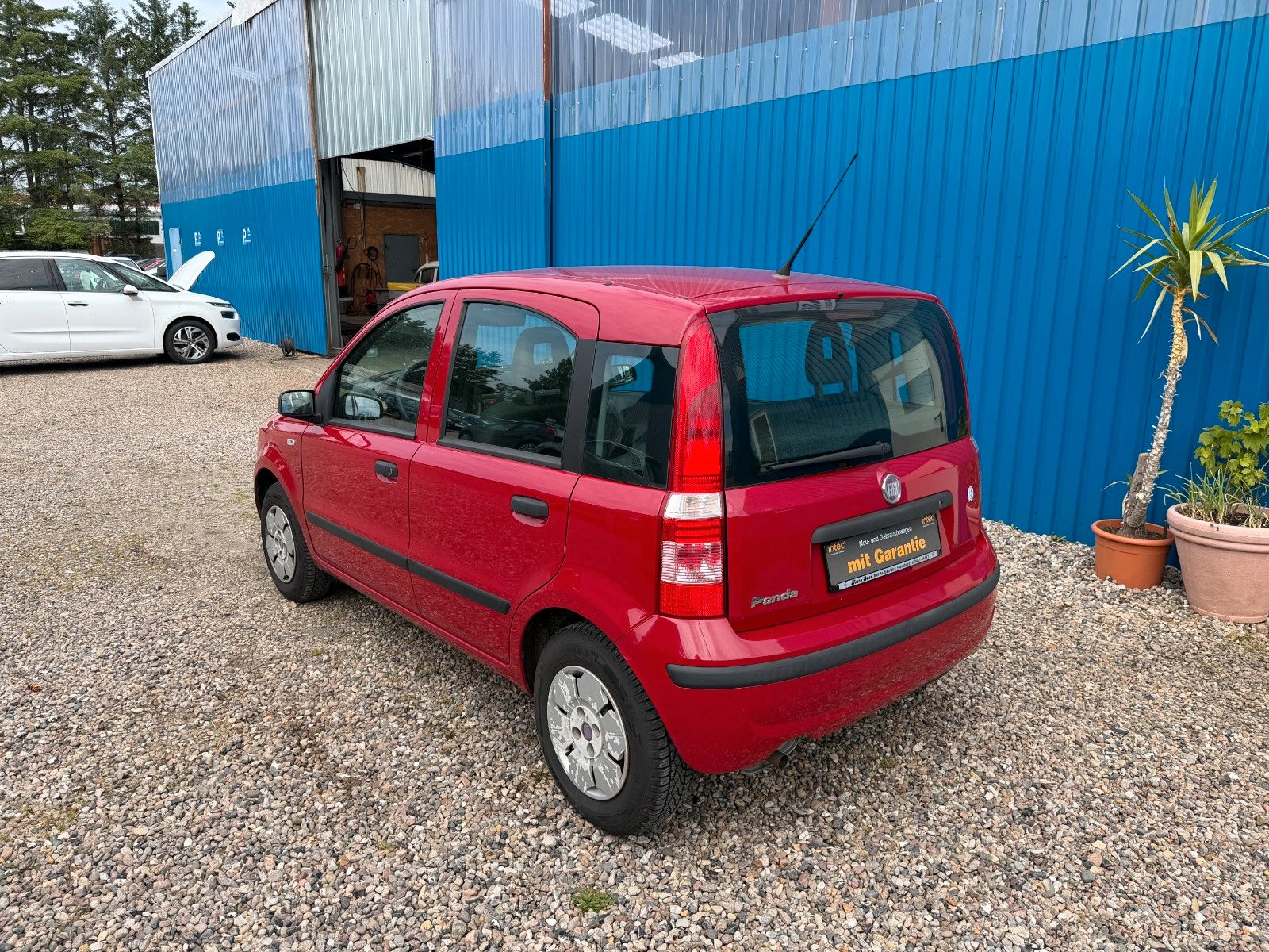 Fahrzeugabbildung Fiat Panda 1.2 8V Dynamic**Allwetter*98 TKM**